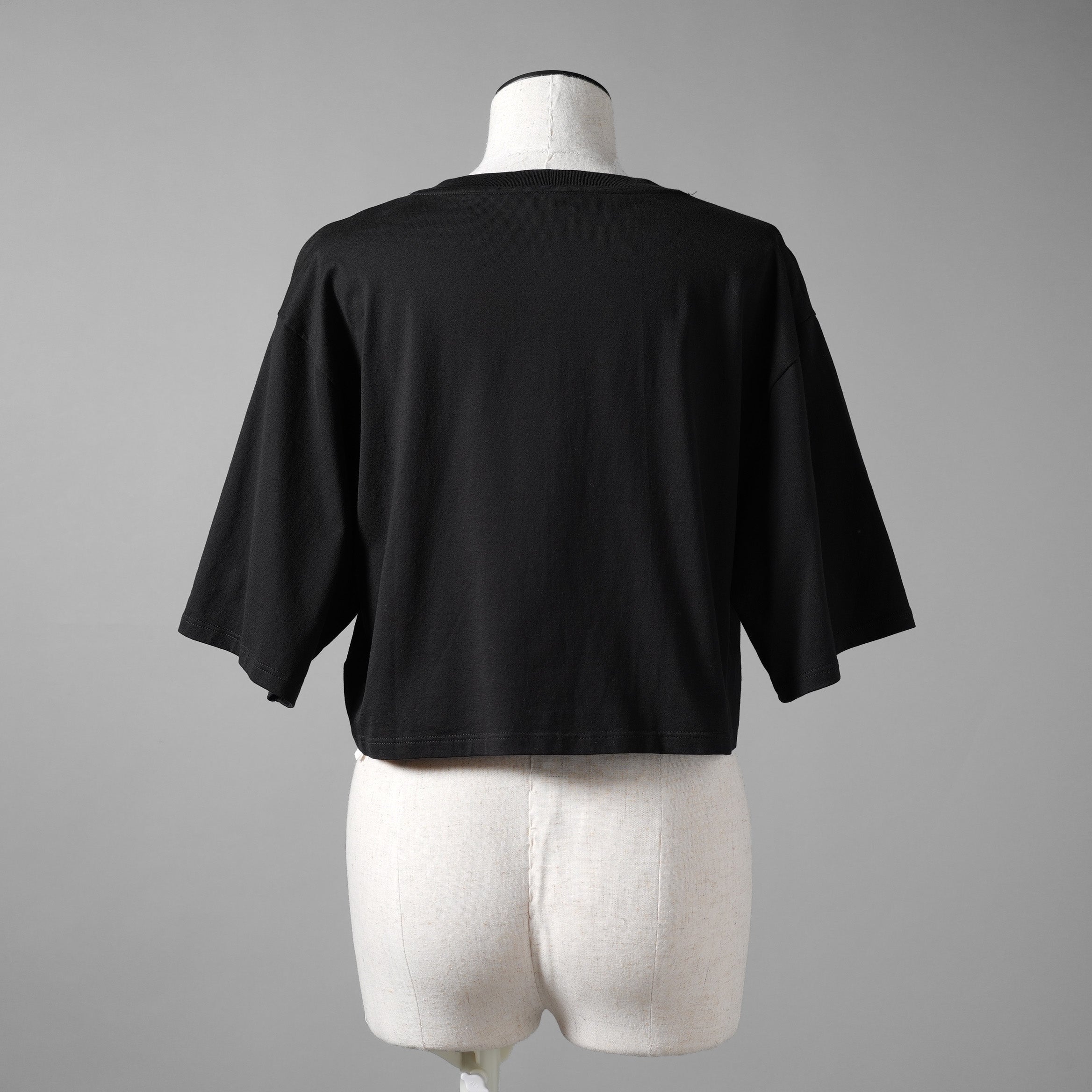 CELINE セリーヌ / 22SS 美品 エディ期 トリオンフ ロゴ クロップド Tシャツ / 2X871501F / size S (BLACK) レディース