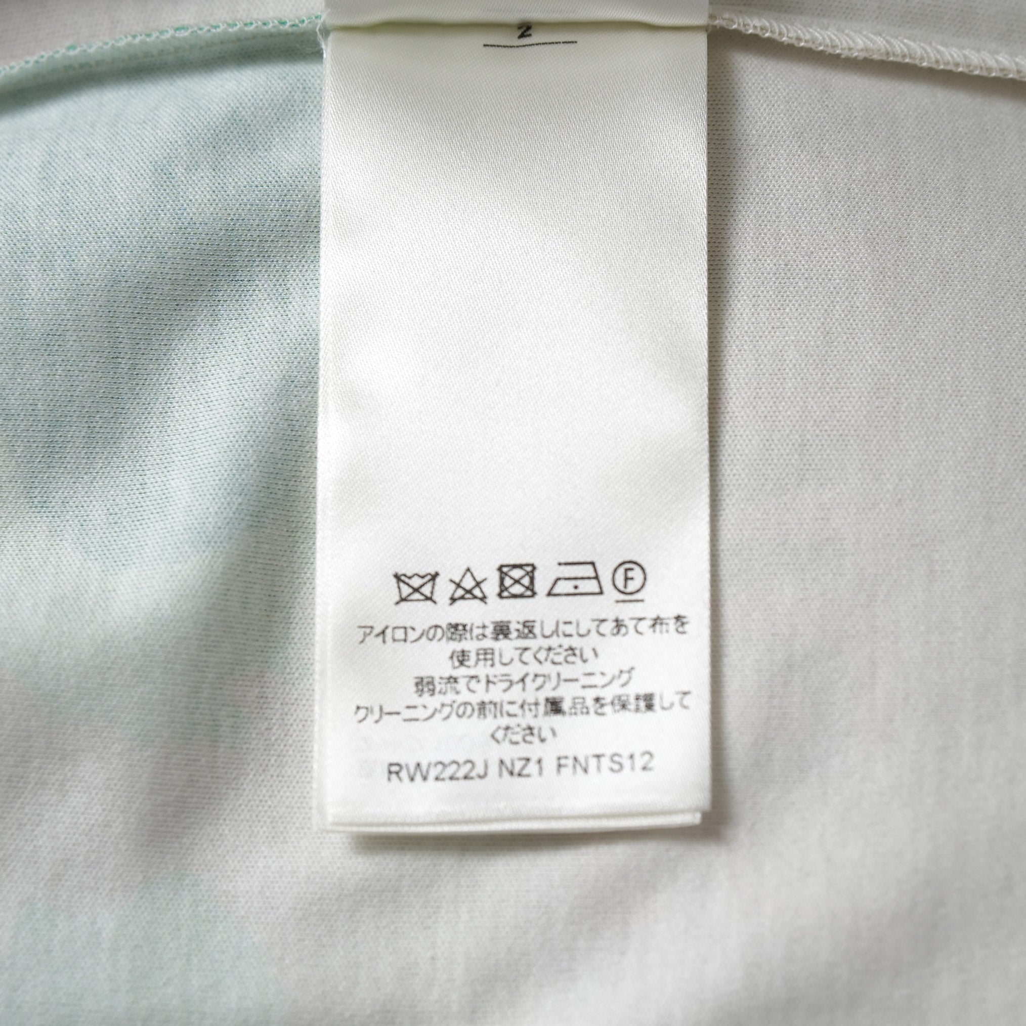 LOUIS VUITTON ルイヴィトン / 美品 22SS エピプリント パームツリー 半袖Tシャツ / RW222J NZ1 FNTS12 / size M (MULTI)