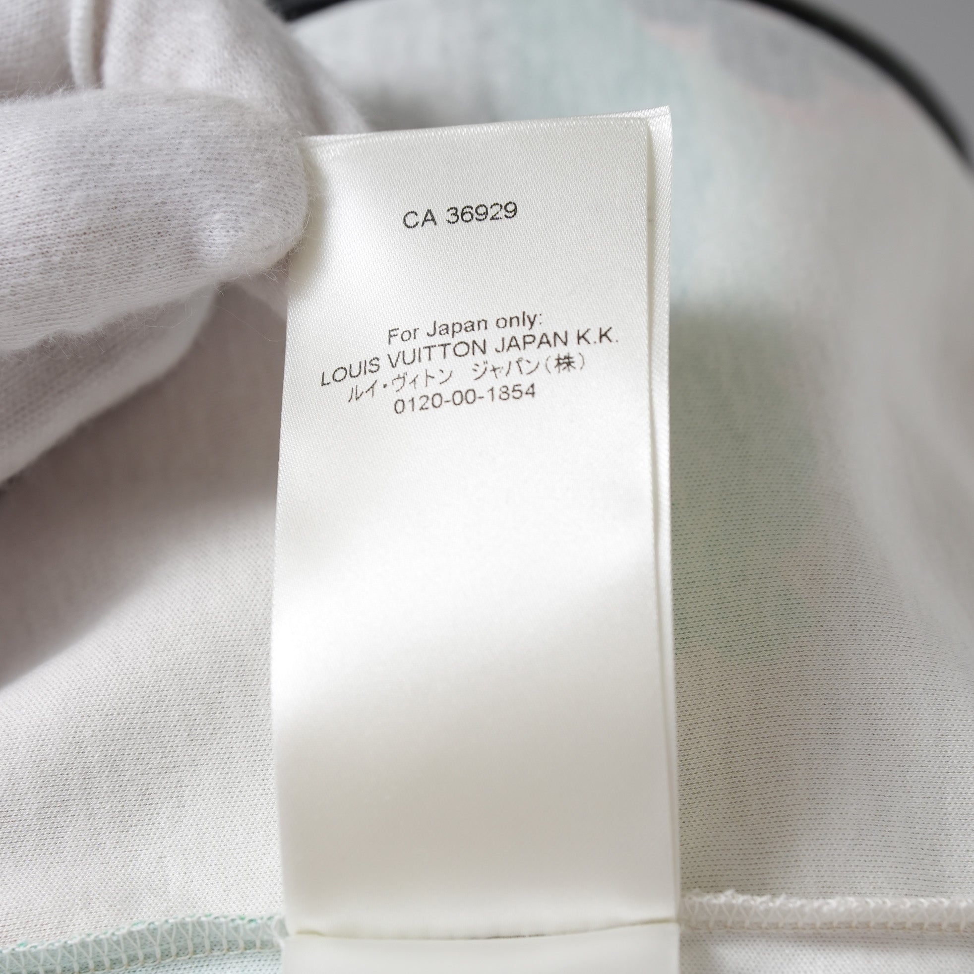 LOUIS VUITTON ルイヴィトン / 美品 22SS エピプリント パームツリー 半袖Tシャツ / RW222J NZ1 FNTS12 / size M (MULTI)