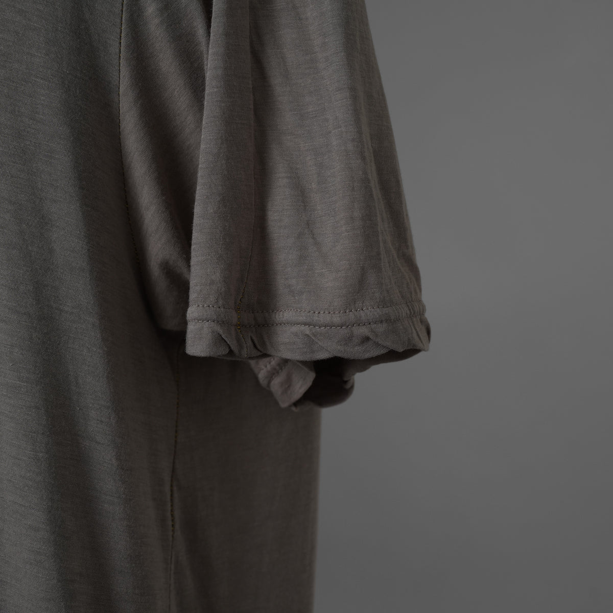 The Viridi-anne ザ ヴィリディアン / 美品 20SS 綿 シルク レギュラー 半袖Tシャツ / VI-3072-01 / size 2 (GRAY) 123057-alm