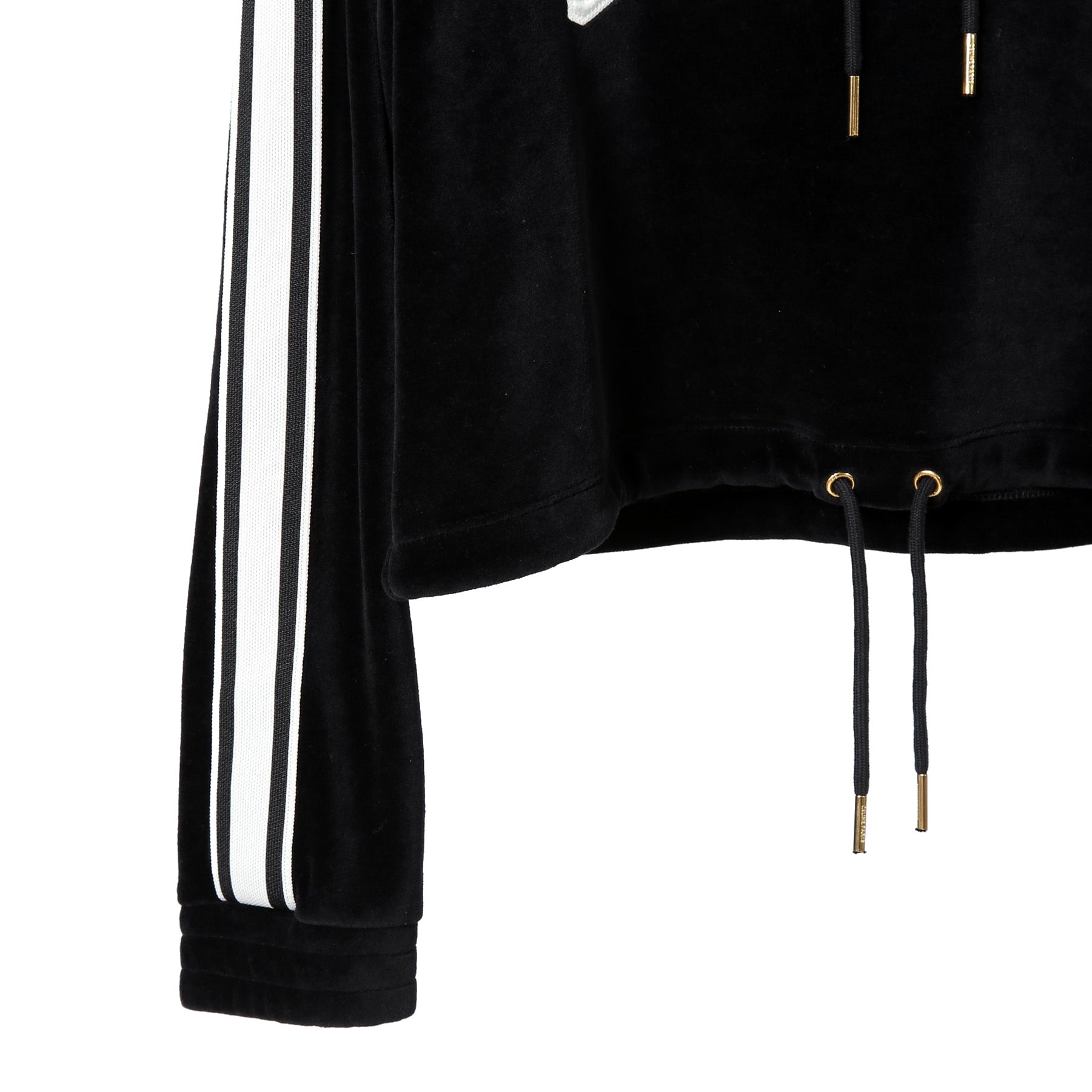 CELINE セリーヌ / 2024AW 美品 ロゴ パッチ ベルベット プルオーバー パーカー / ベロア 長袖 / 2Y12C748Q  / size M (BLACK)