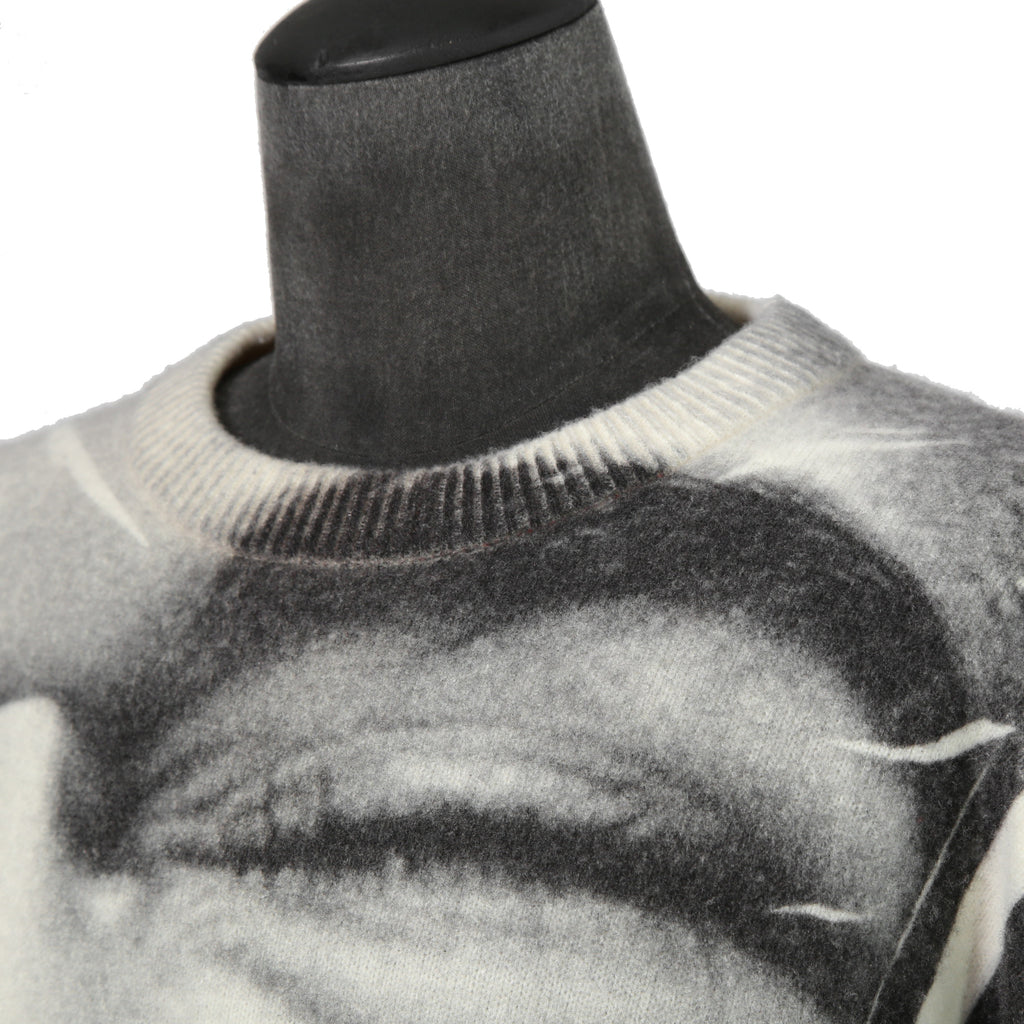 DISEL ディーゼル / 23AW 美品 K-VICTORY “SMILY FACE”転写 クルーネック セーター ニット A13359 / size L (WHITE)